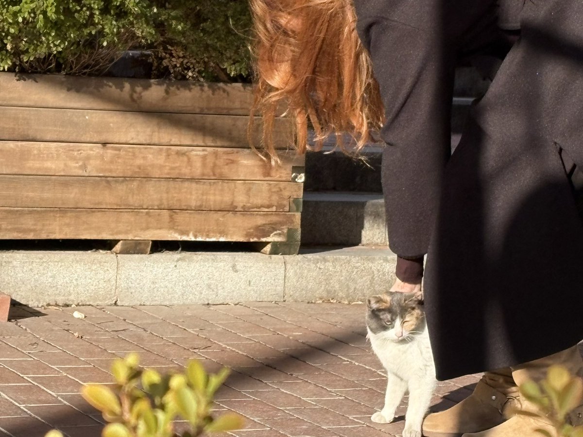 msrainmaker's tweet image. the lazy sunbathers