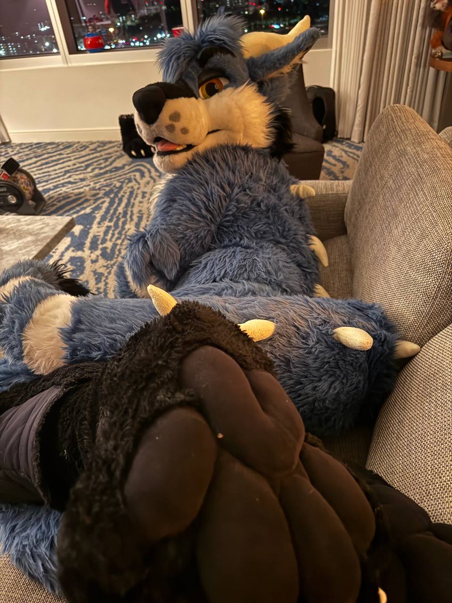 dirdwolf @ lvfc tweet media