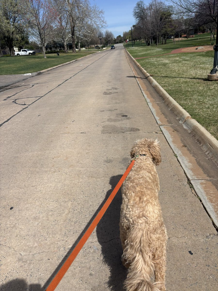 Rosco Quaid III tweet media