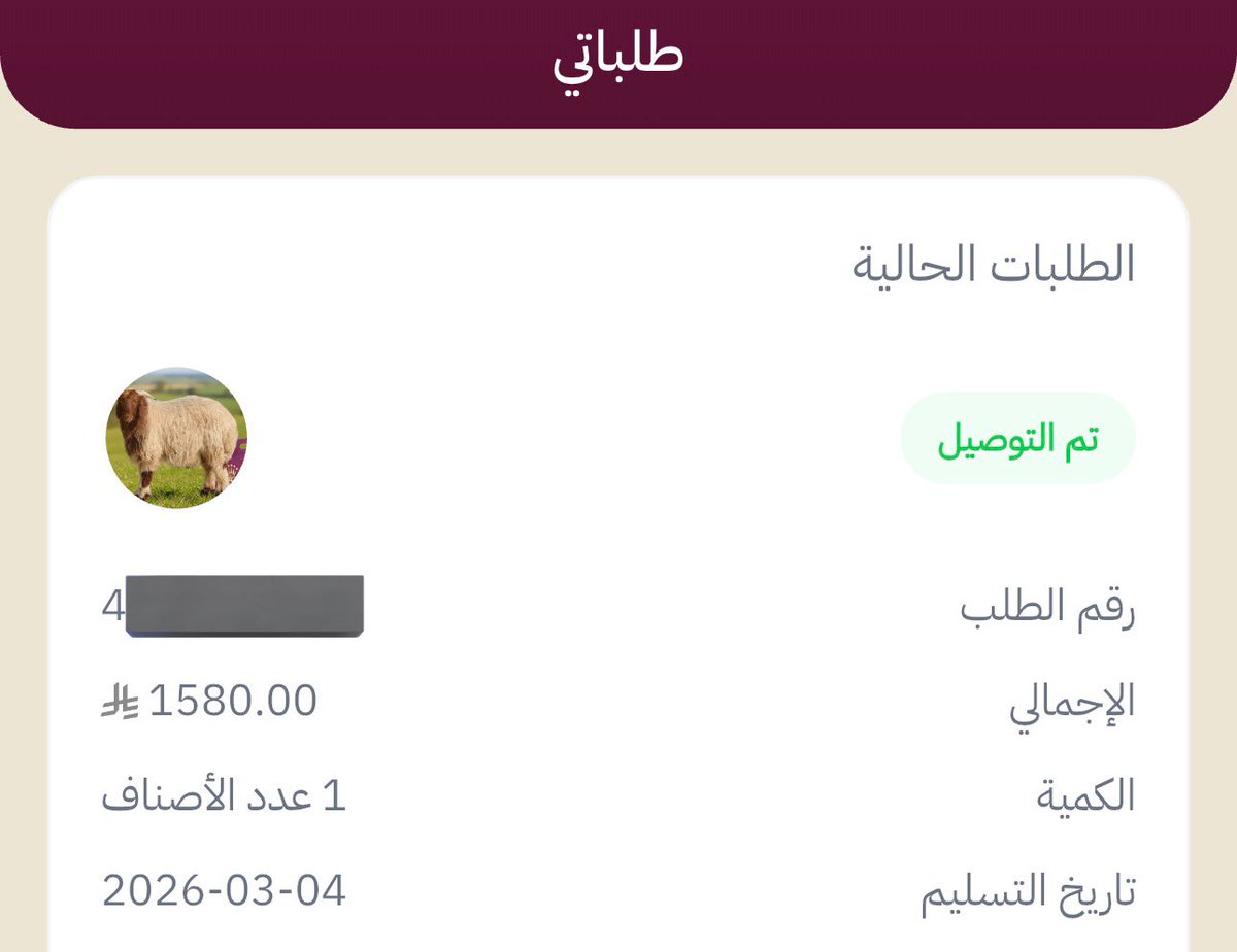 The Prophecy Holder tweet media