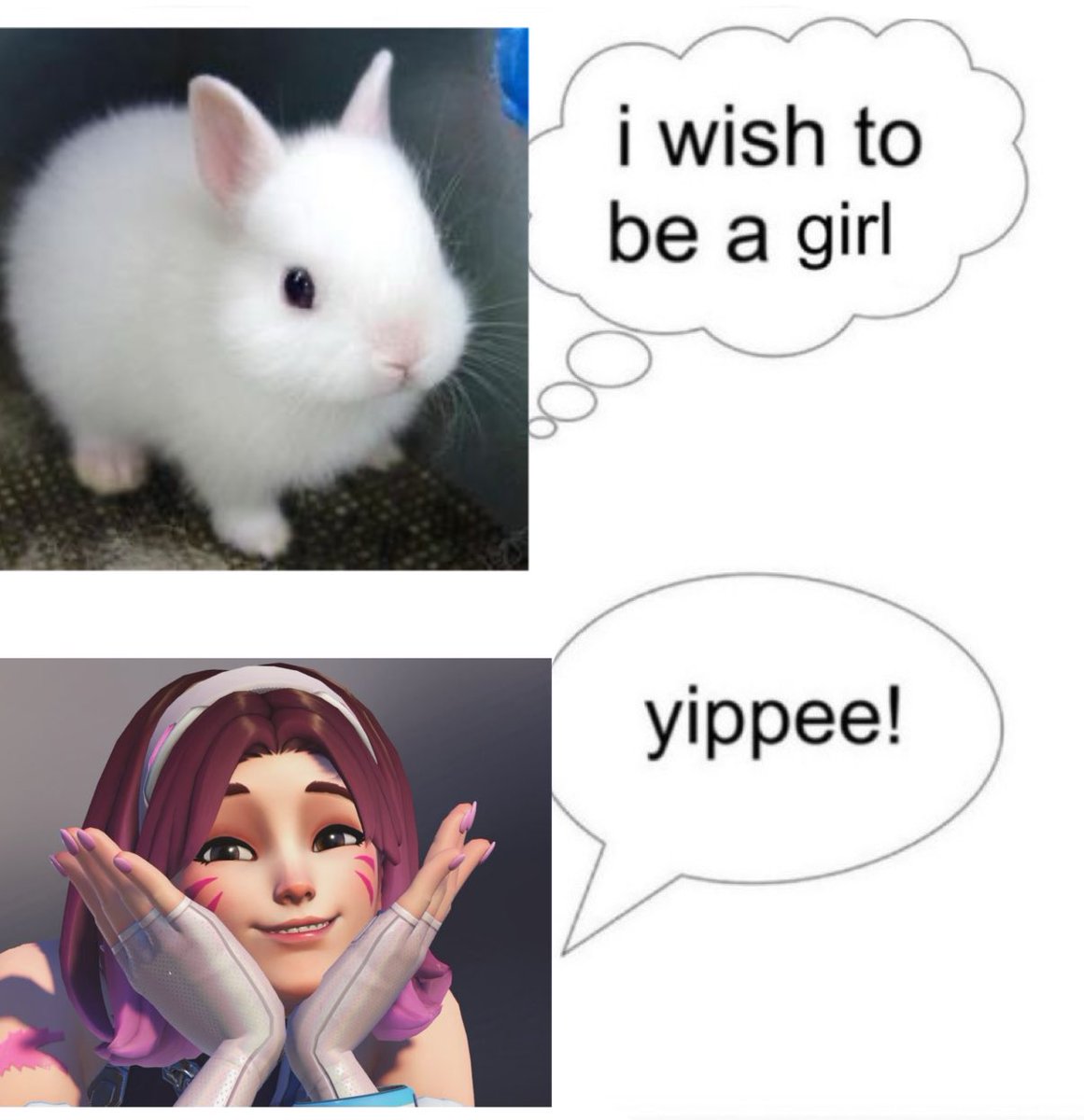 Mei ⋆.𐙚 ̊ tweet media