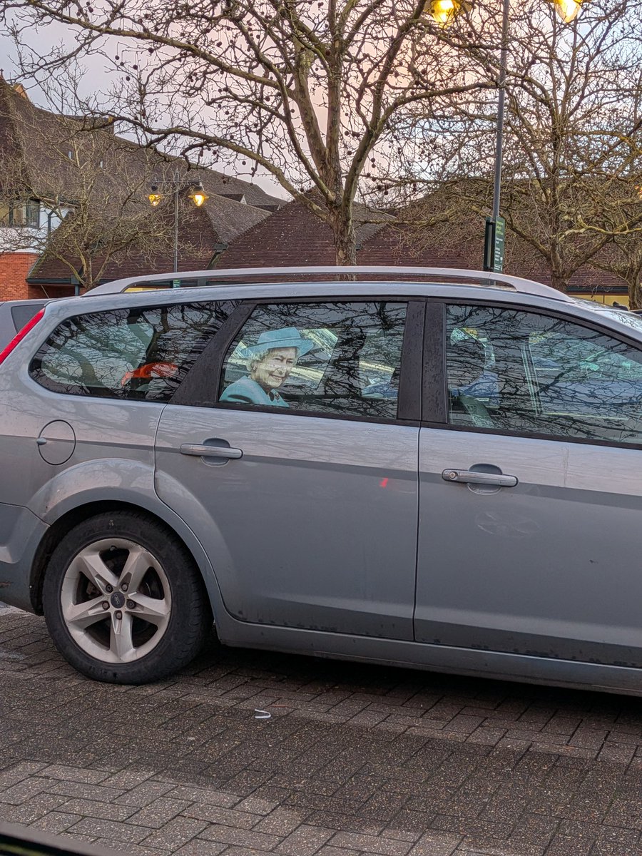 Theo Bird tweet media