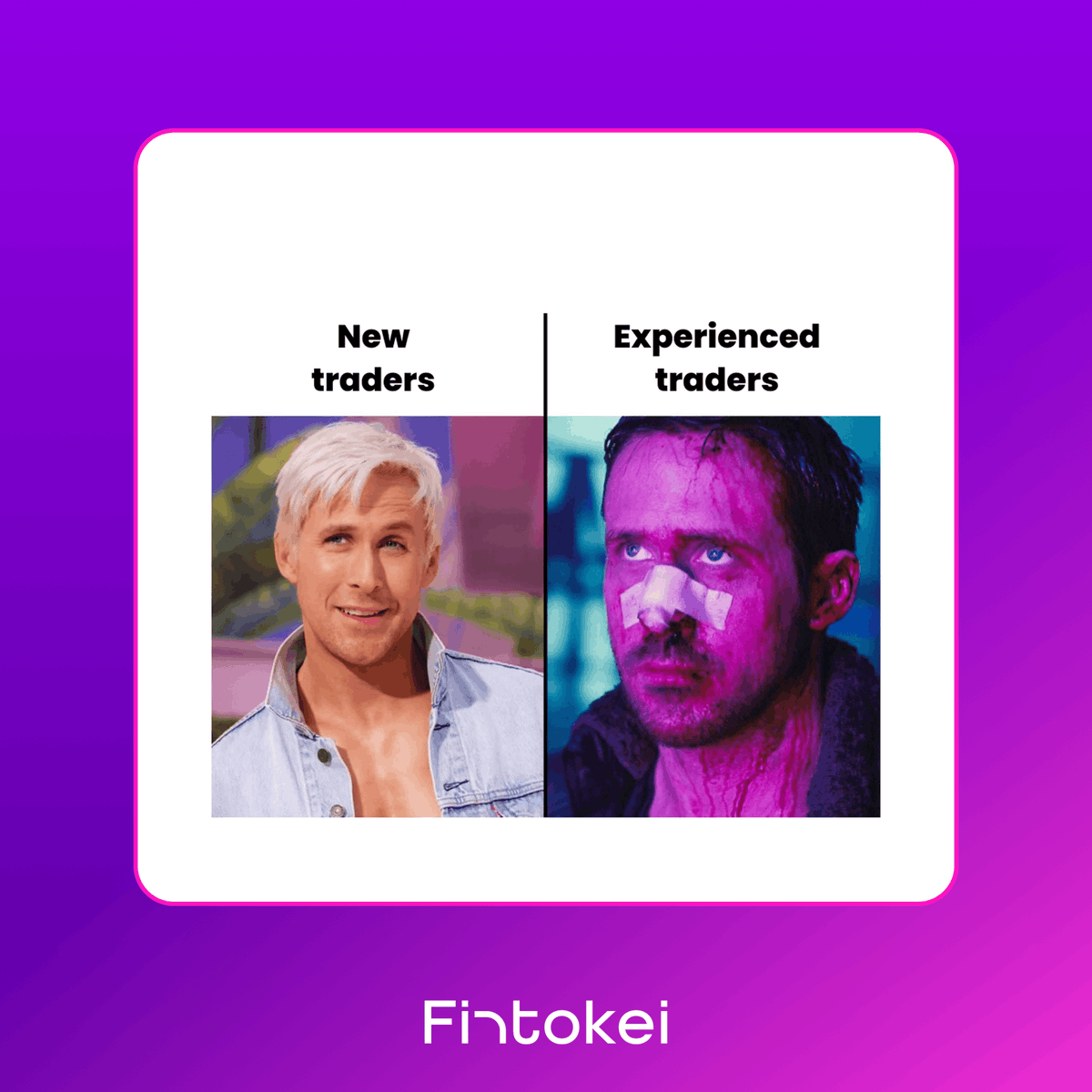 Fintokei tweet media