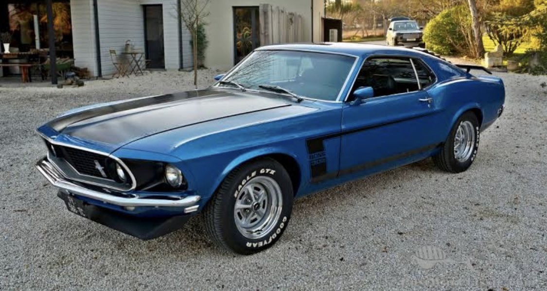 Tribal chief 🦍 tweet media