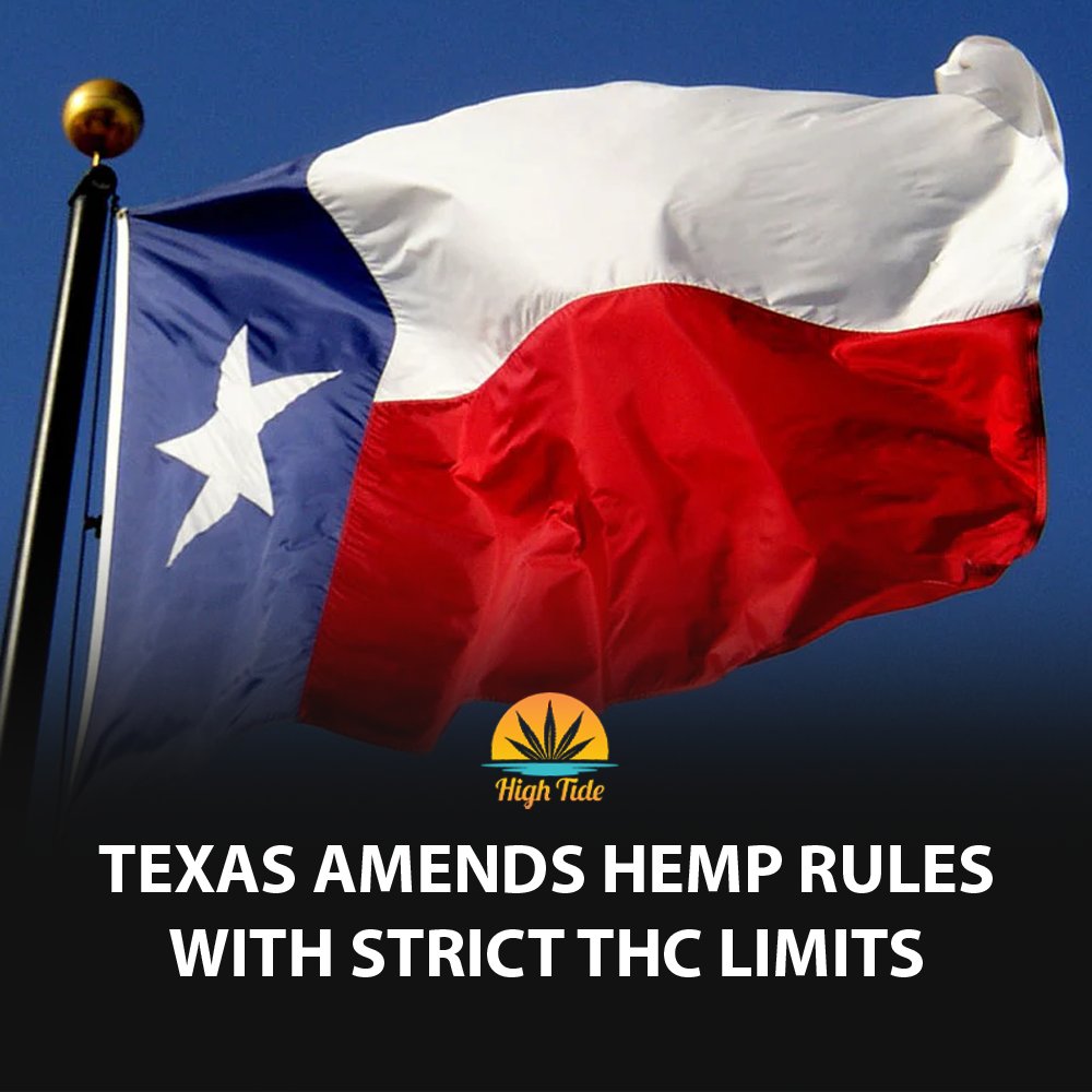 High Tide tweet media