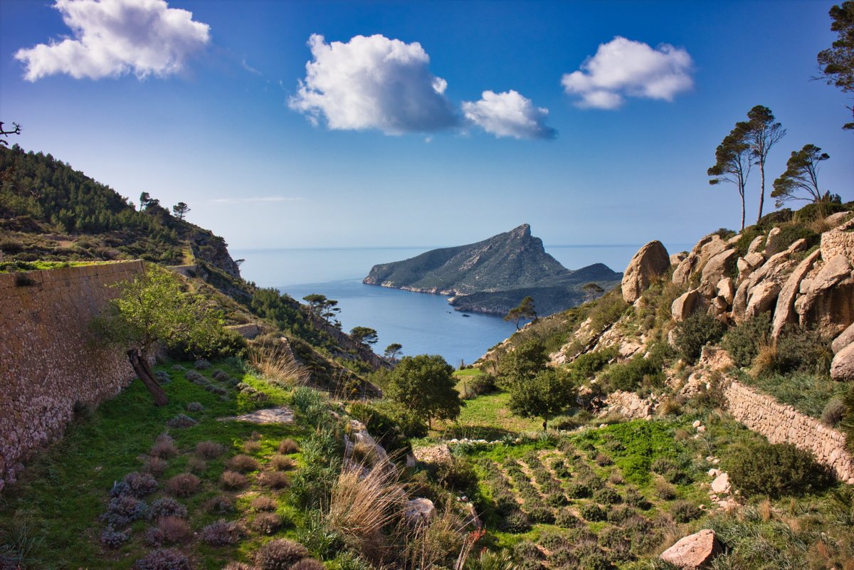 Turismo Illes Balears tweet media