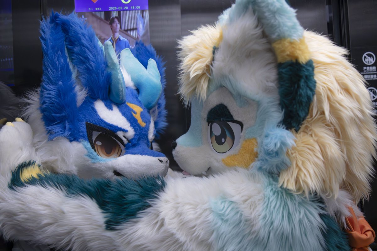 煜辰爱吃烤肉 tweet media