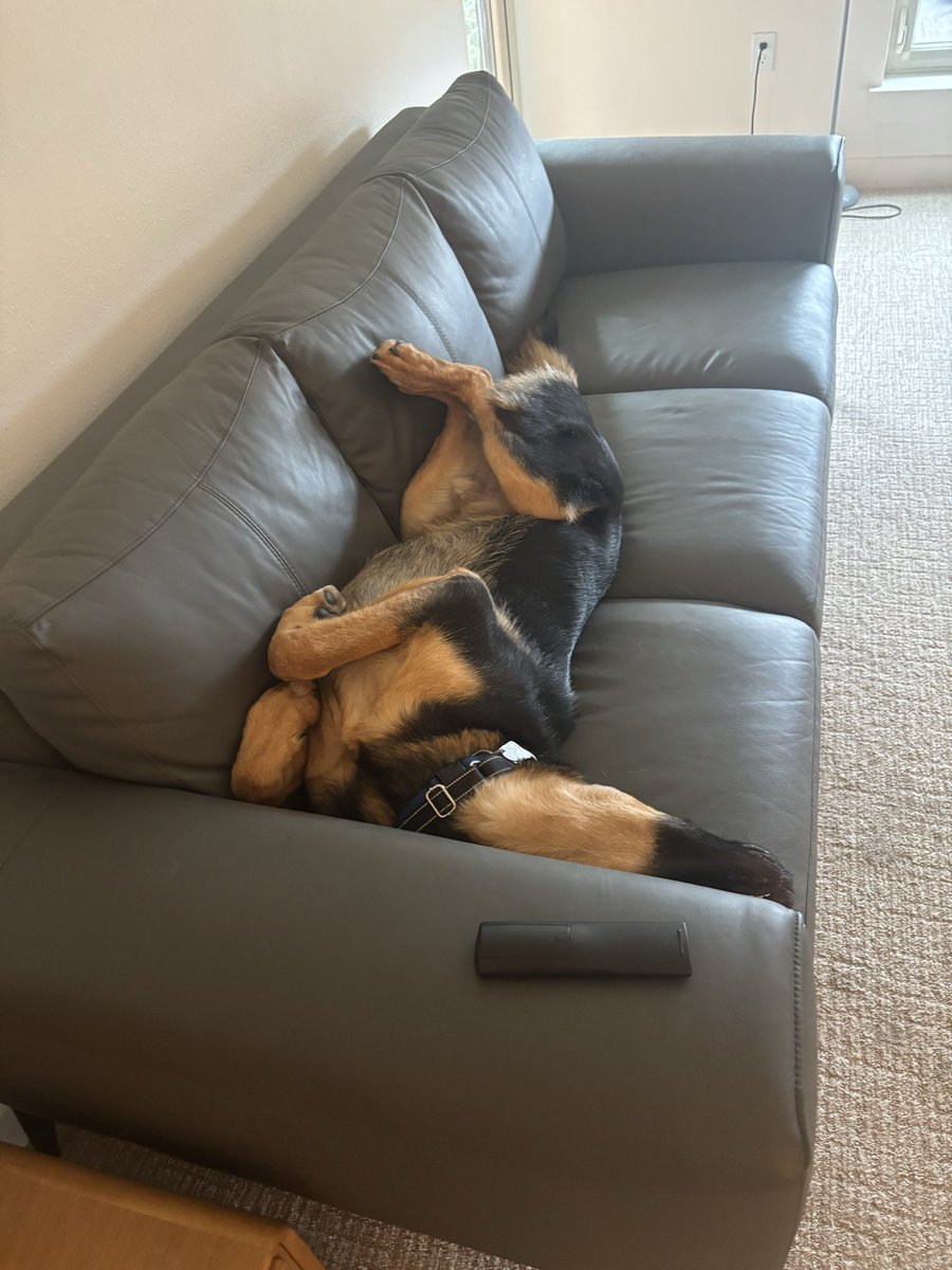 Cornbread Wilson tweet media