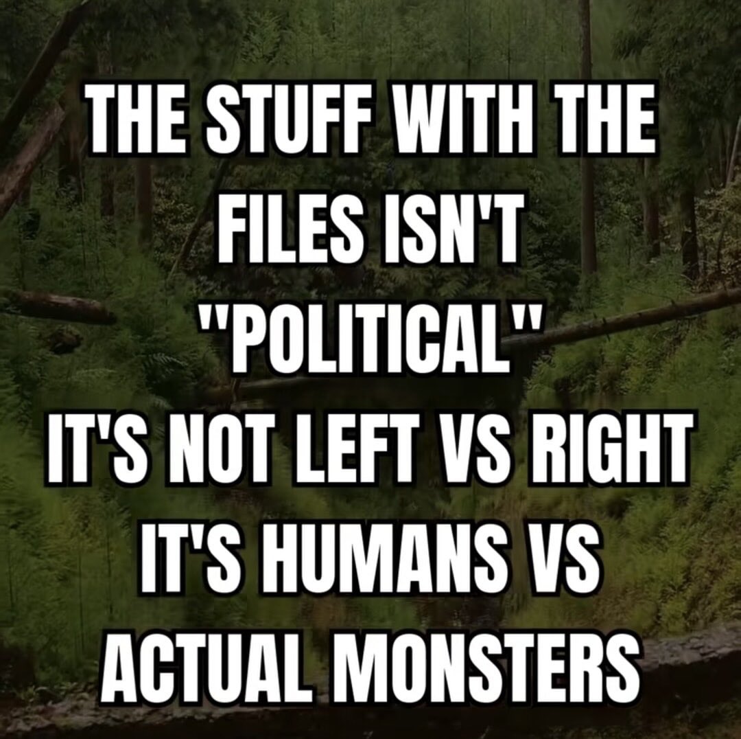 Steve 🇺🇸 tweet media