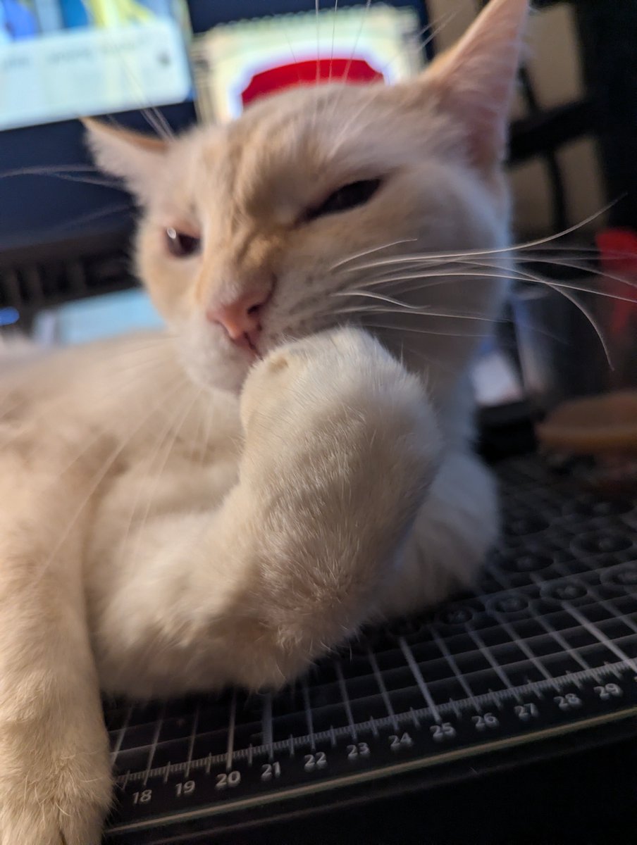 柊優 | Hiiragi Yuu🍸🍾 tweet media