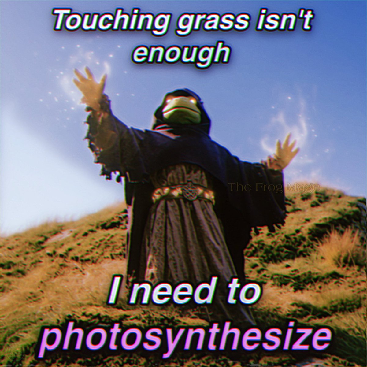 The Frog Mage tweet media