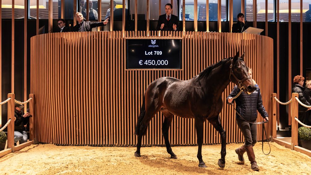 Racing Post Bloodstock tweet media