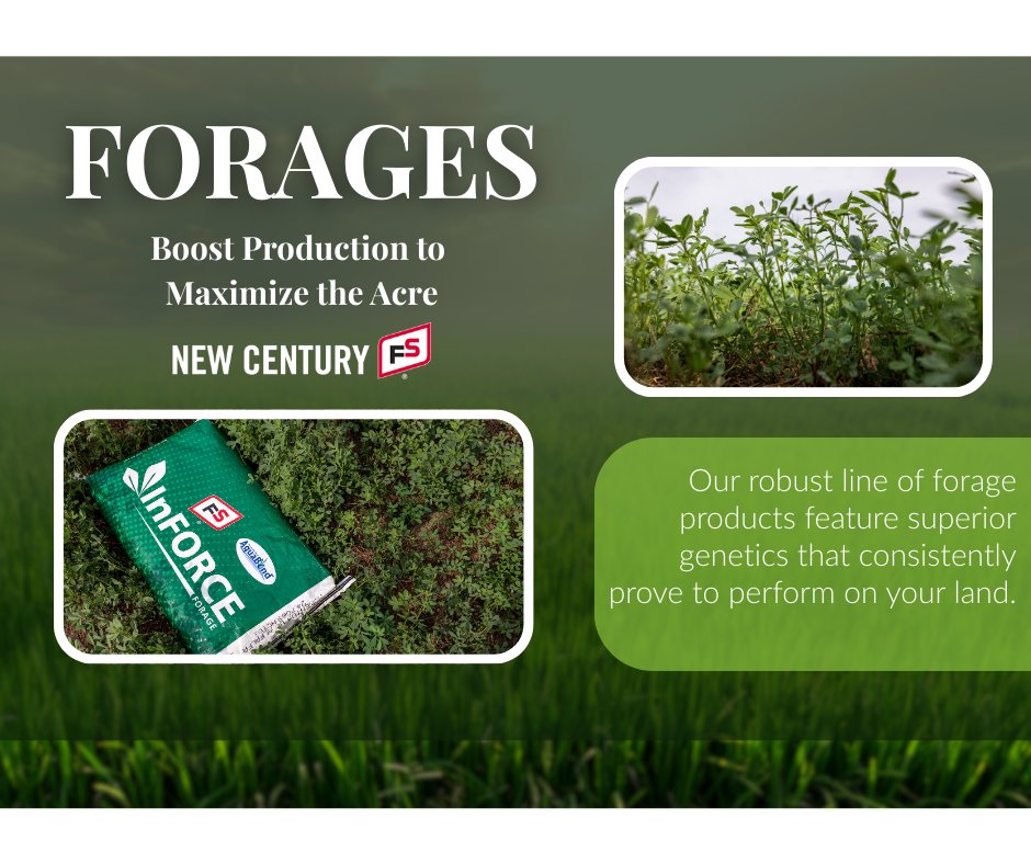 New Century FS tweet media