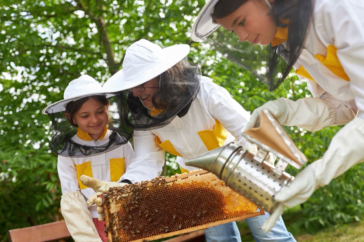 NationalHoney's tweet image. Happy Birthday Girl Scouts! #FunFactFriday: There are several Girl Scout badges and programs associated with #beekeeping, including "Save a Bee" and "Project Pollinate". Through these programs girls have opportunities to learn more about honey bees and their impact on our planet.