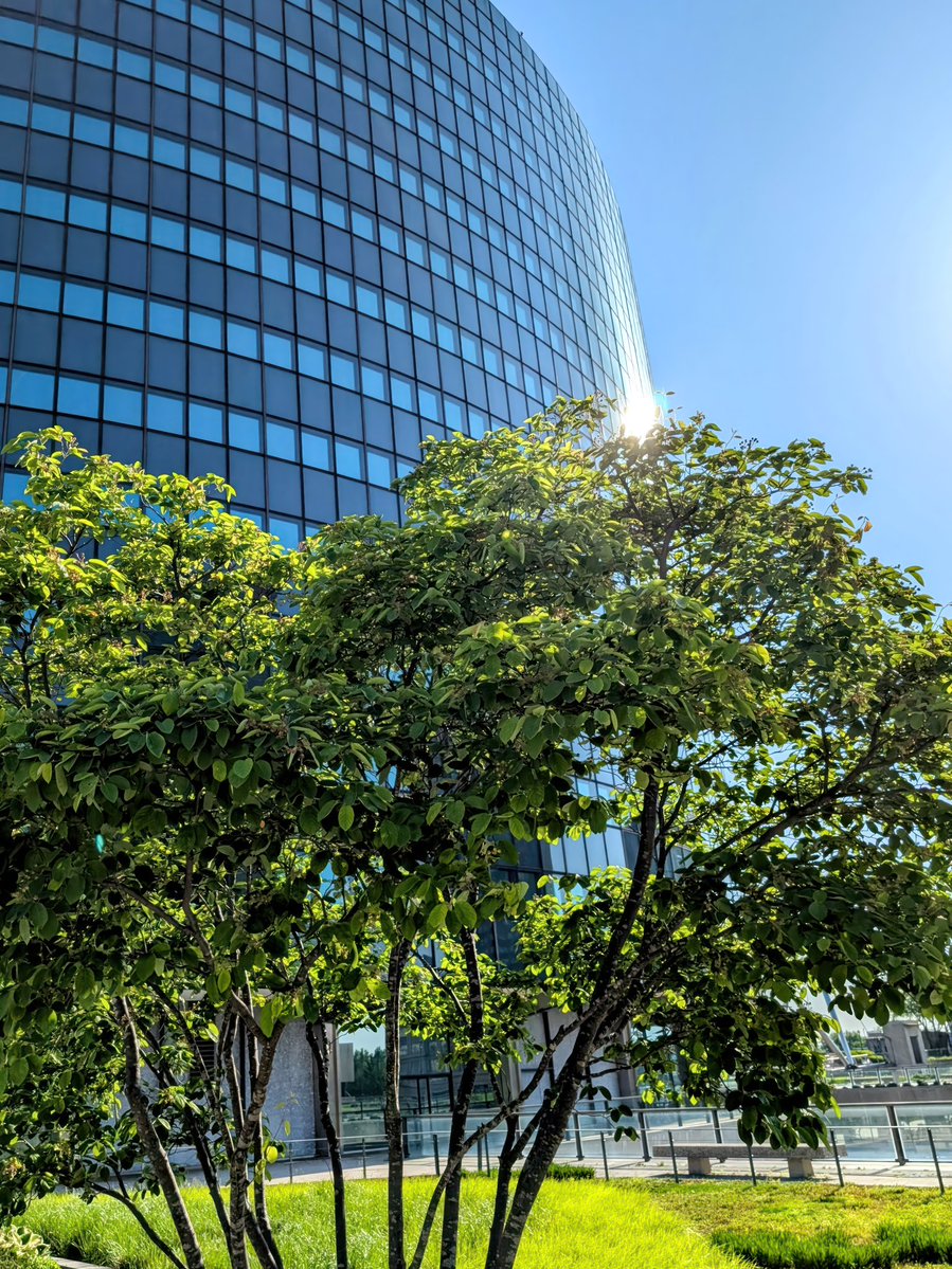 aka𝗙𝗼𝗹𝗲𝘆 💎💜 tweet media