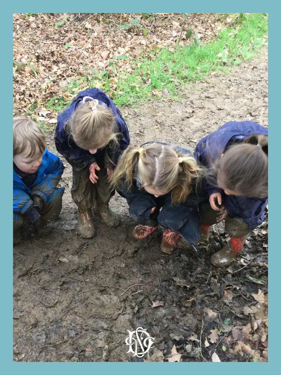 Dulwich Cranbrook tweet media