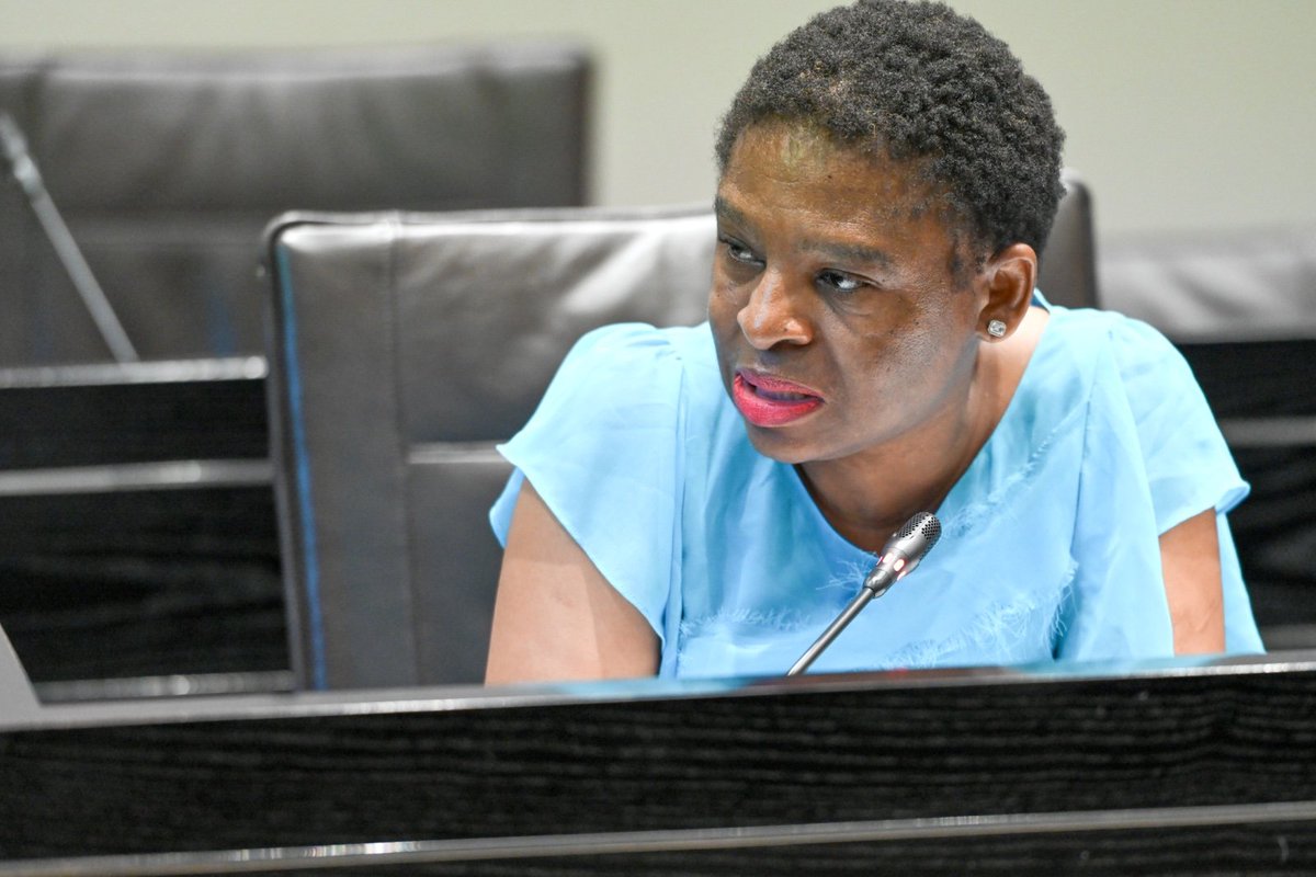 Defence Cluster Parliament of RSA tweet media