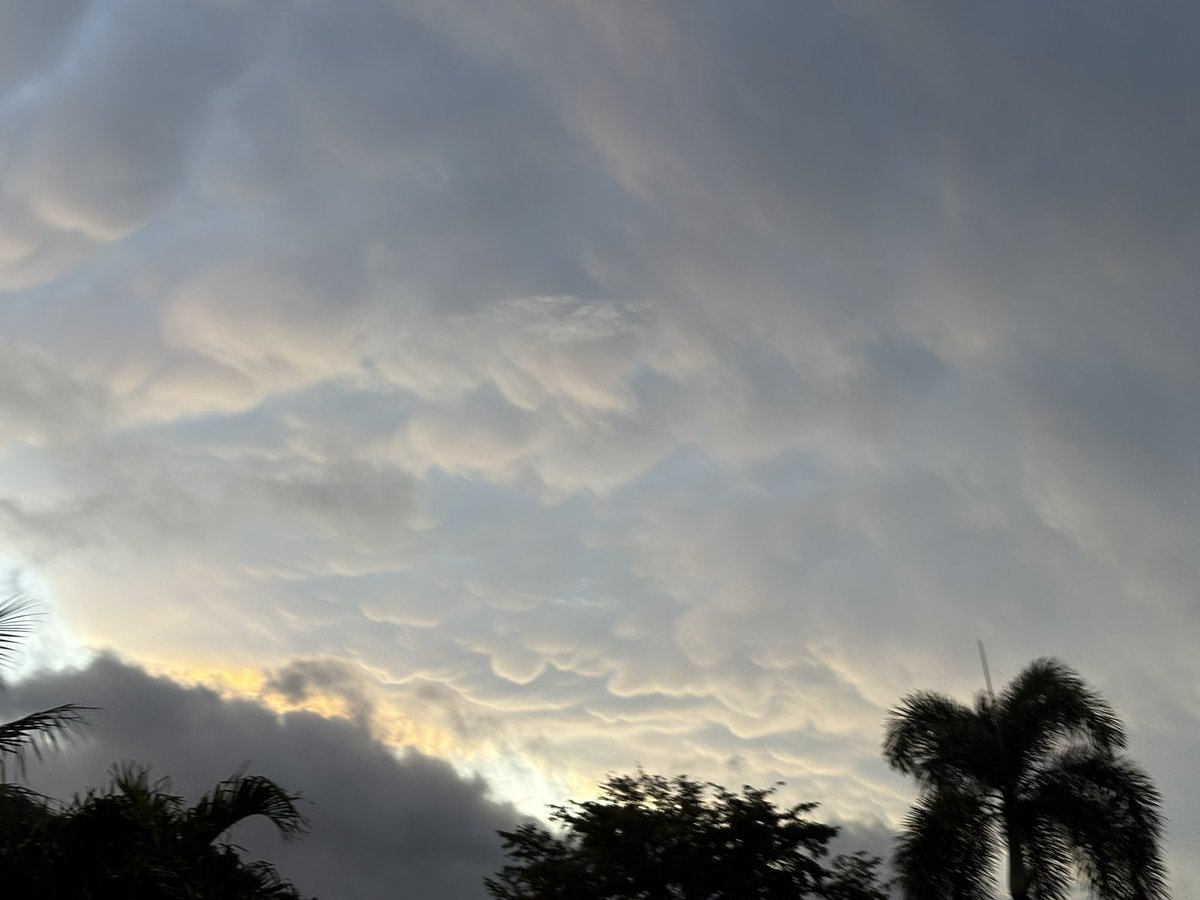 TwistedDogWX's tweet photo. Beautiful mammatus rolling into night #flwx https://t.co/IF8cr8HxlL