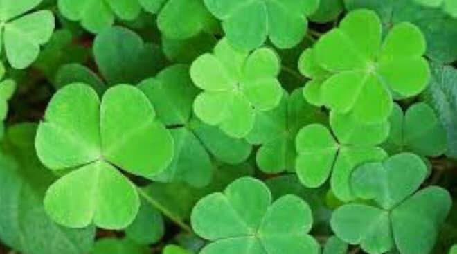 Midlands Science tweet media