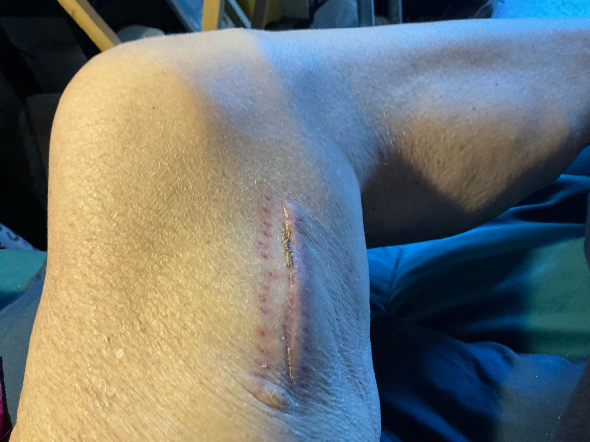 Jomaapro Fawas tweet media