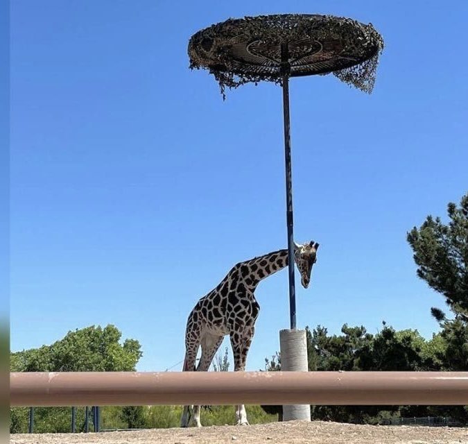 𝙍𝙪𝙩𝙝 𝘽𝙖𝙧𝙧𝙞𝙤𝙨 𝙁𝙪𝙚𝙣𝙩𝙚𝙨 tweet media