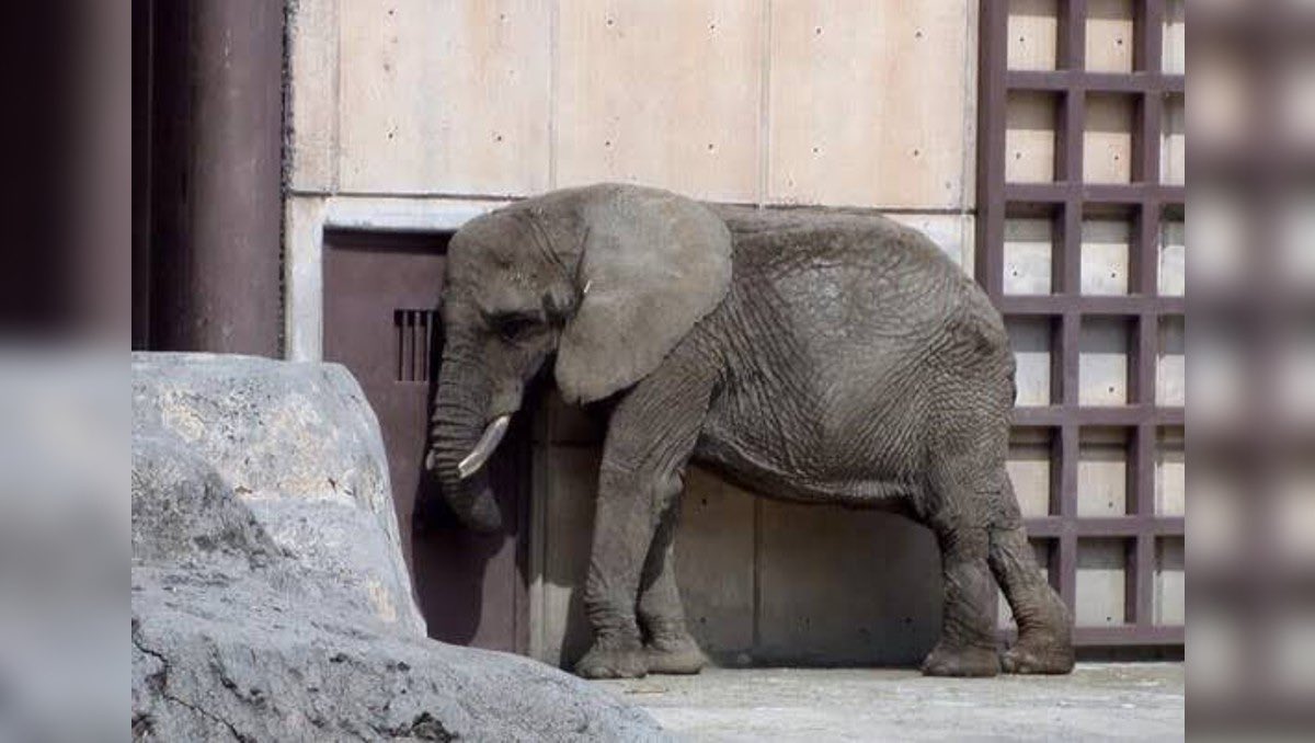 𝙍𝙪𝙩𝙝 𝘽𝙖𝙧𝙧𝙞𝙤𝙨 𝙁𝙪𝙚𝙣𝙩𝙚𝙨 tweet media