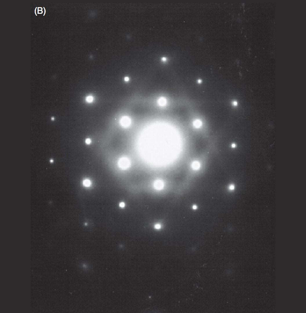 Everything tweet media