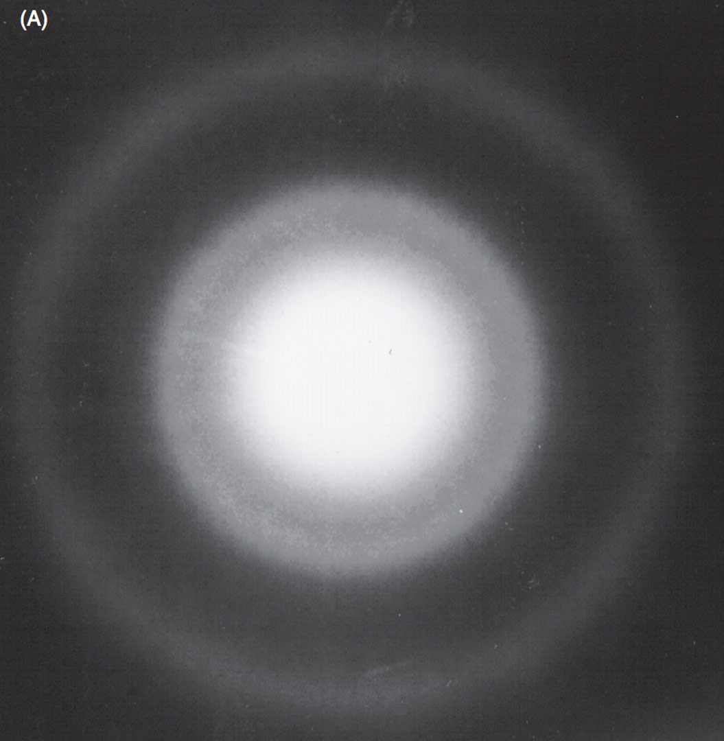 Everything tweet media