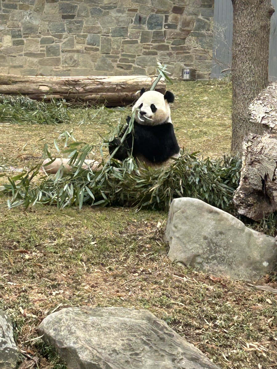 Lisa Kocay tweet media