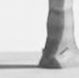 Minks! :3 tweet media