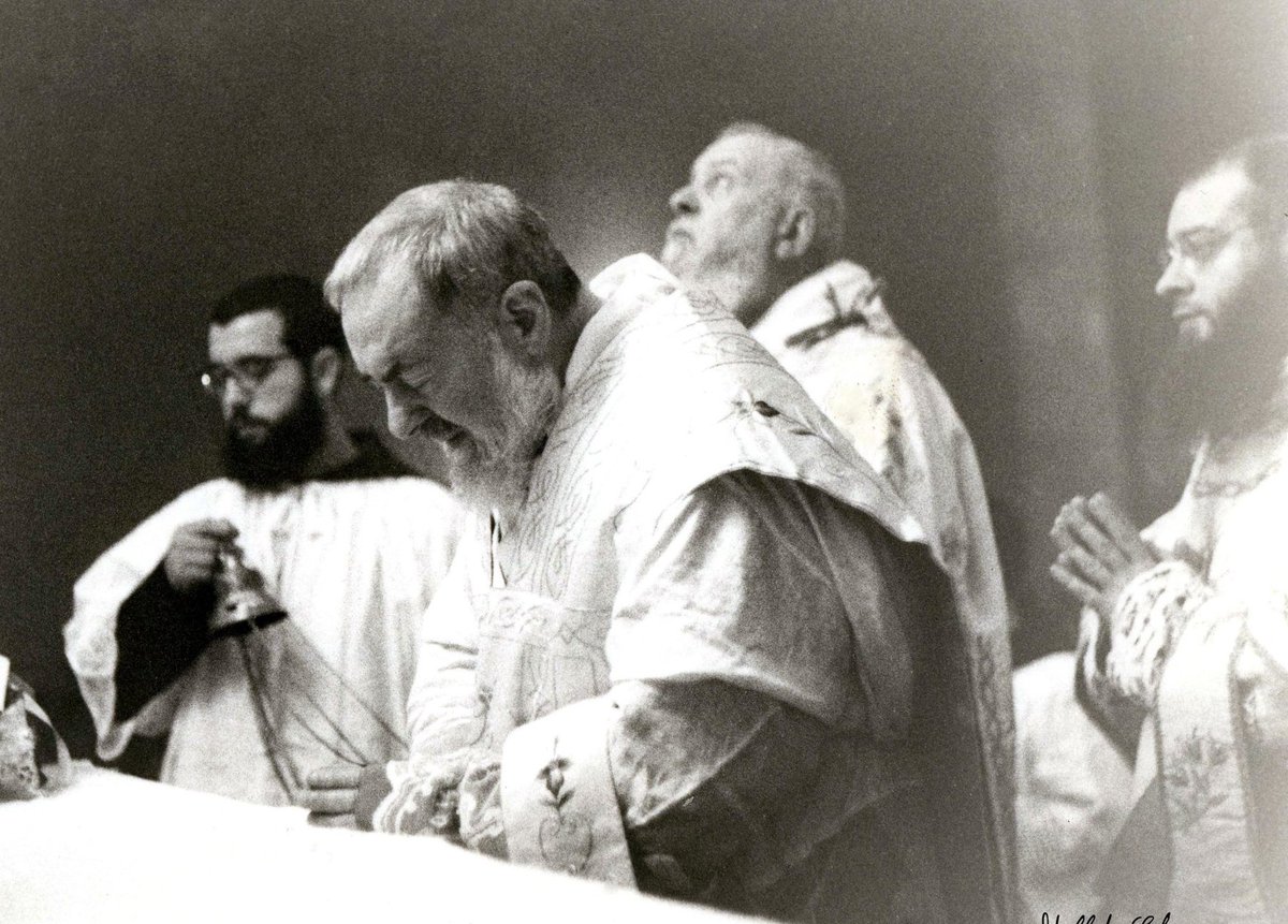 Mark Lambert tweet media