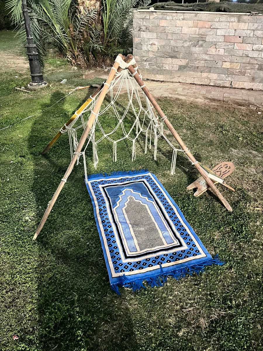 صحيفة الكشافة | SCOUT tweet media