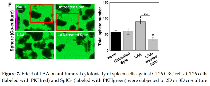 白楽ロックビル tweet media