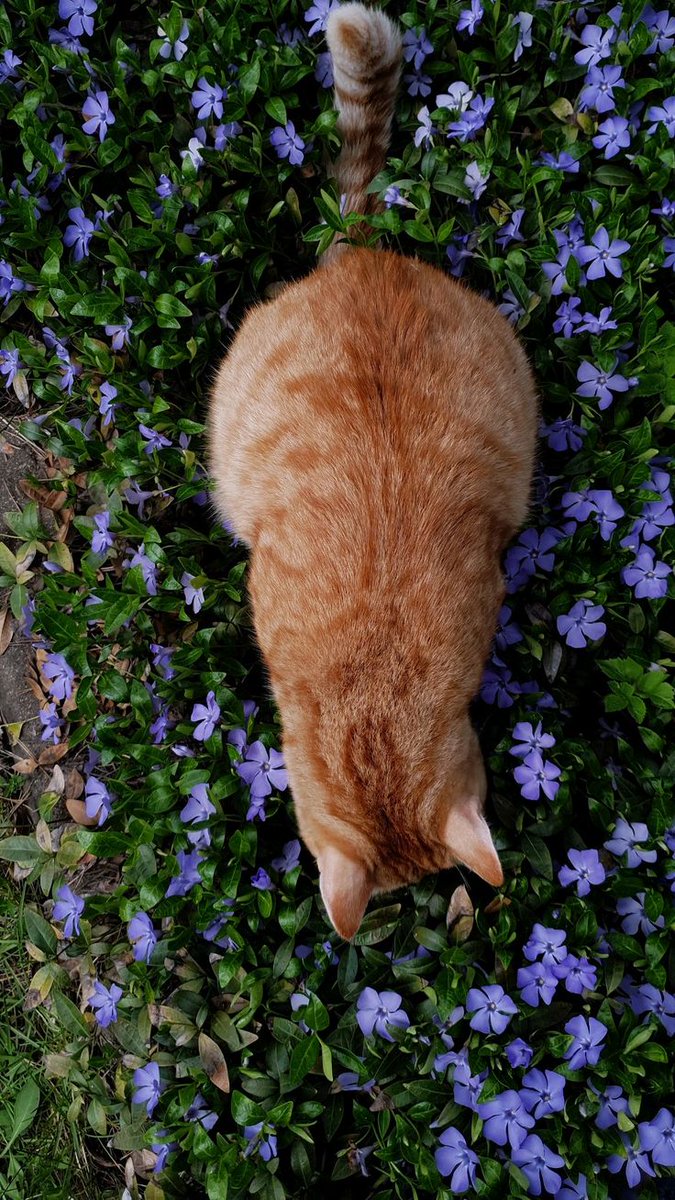 ᅠ ᅠ (@greendreaams) on Twitter photo 