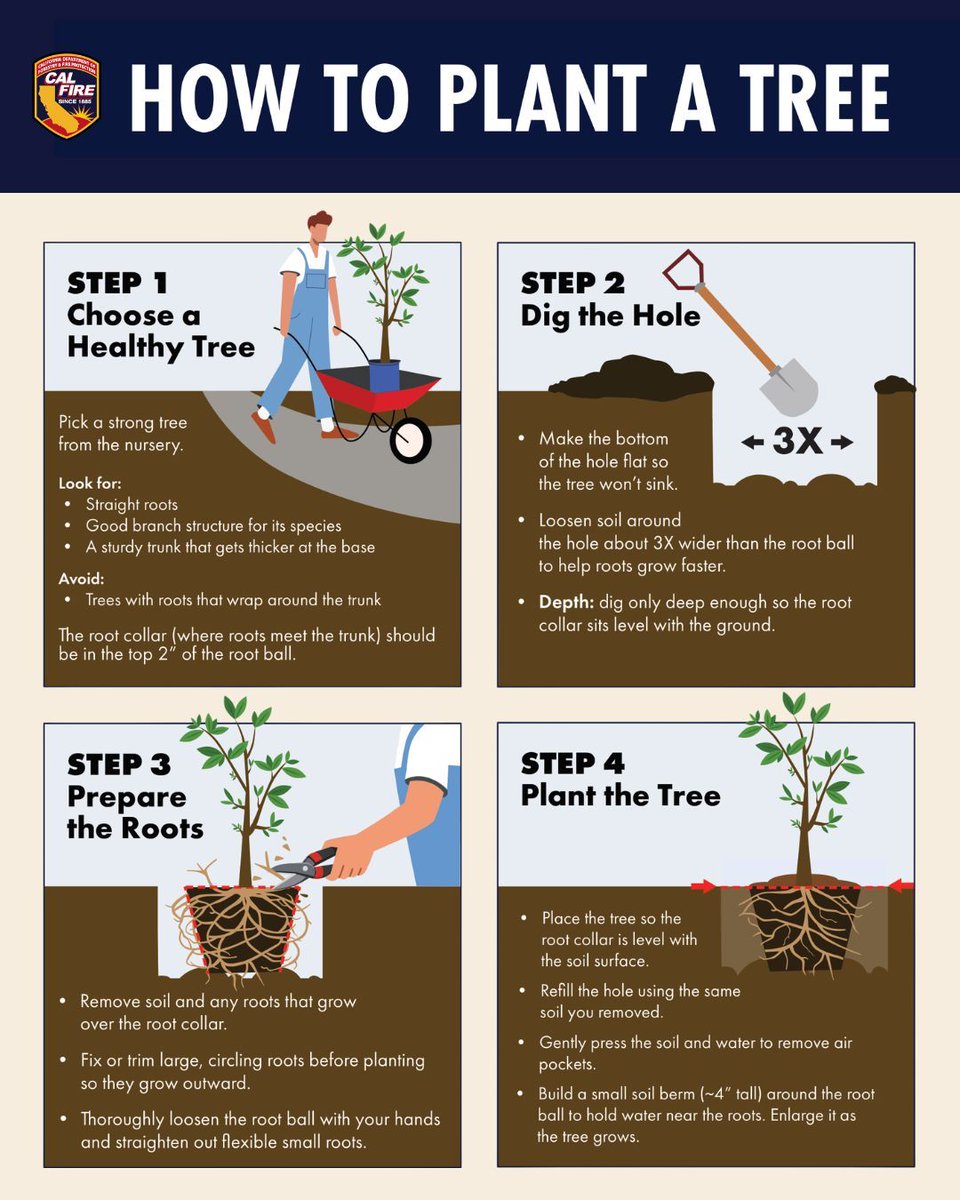 CAL FIRE tweet media