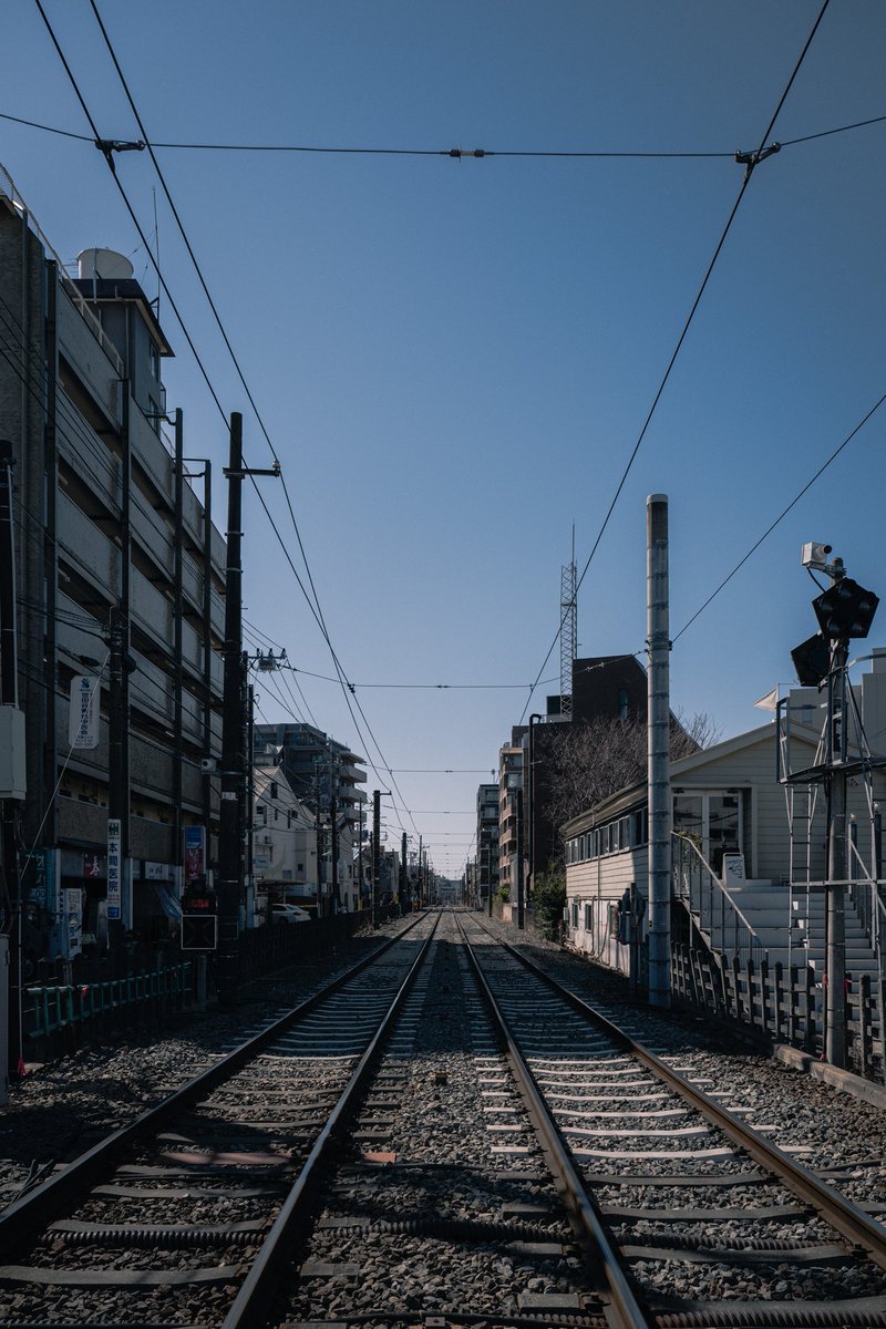 トム・イシカワ（石川 智規）｜WEBSTAFF, Inc. tweet media