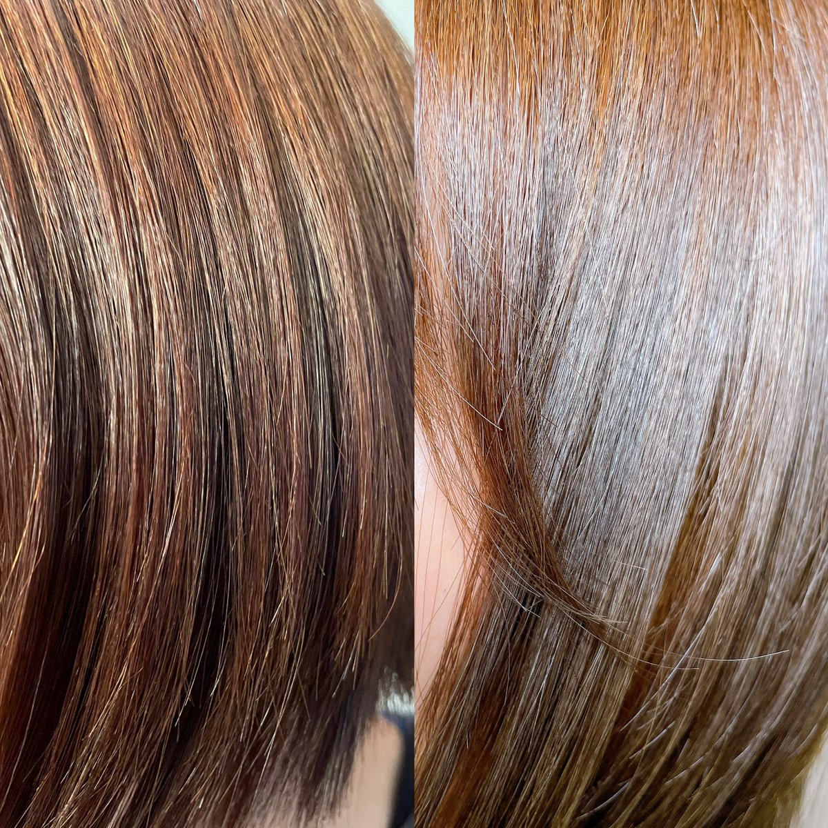 はれんちゃん tweet media