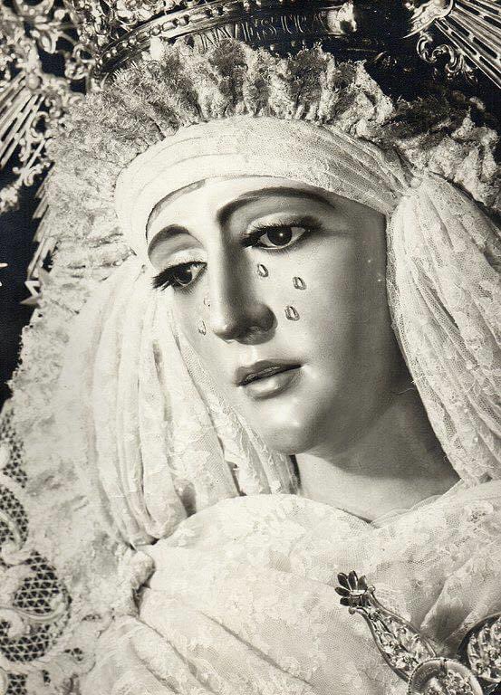 A los pies de la Giralda tweet media