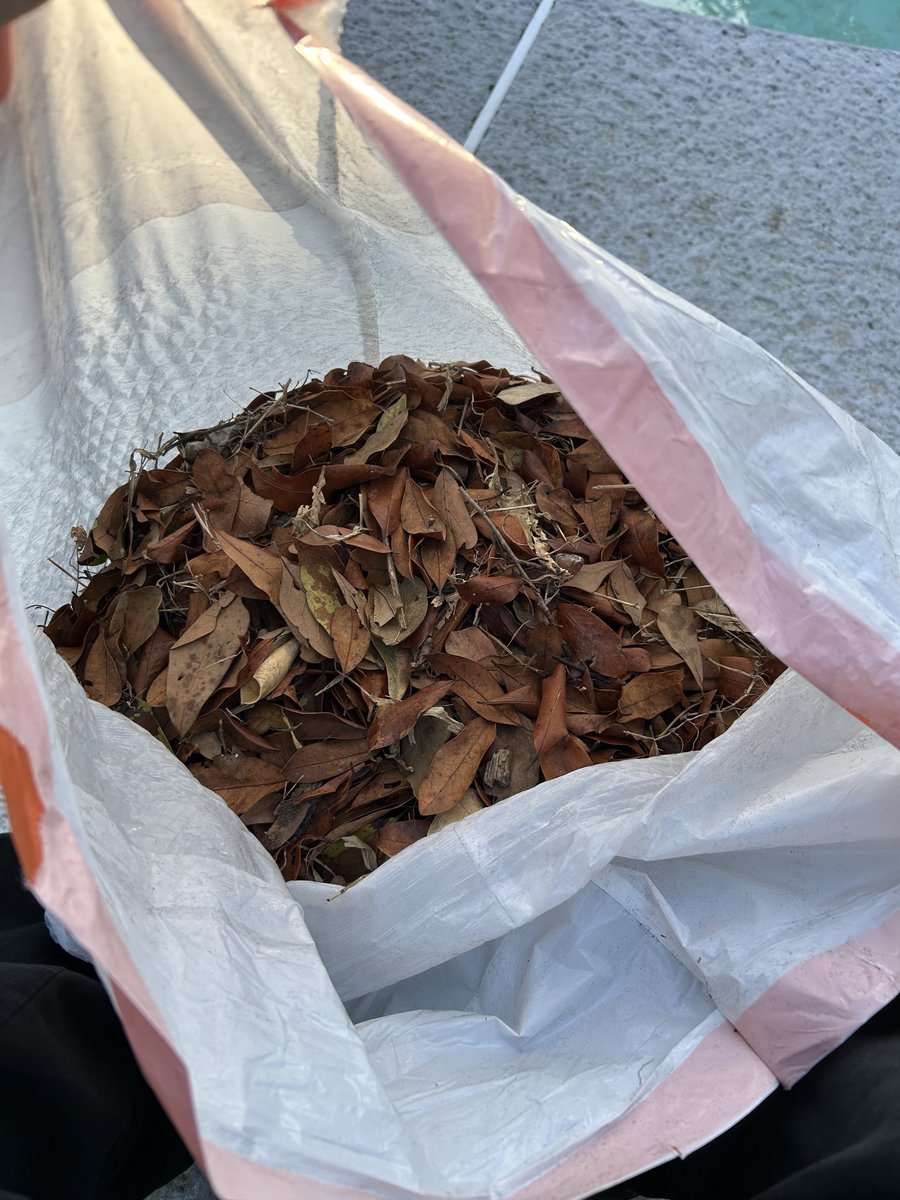 Ipurgepeople tweet media