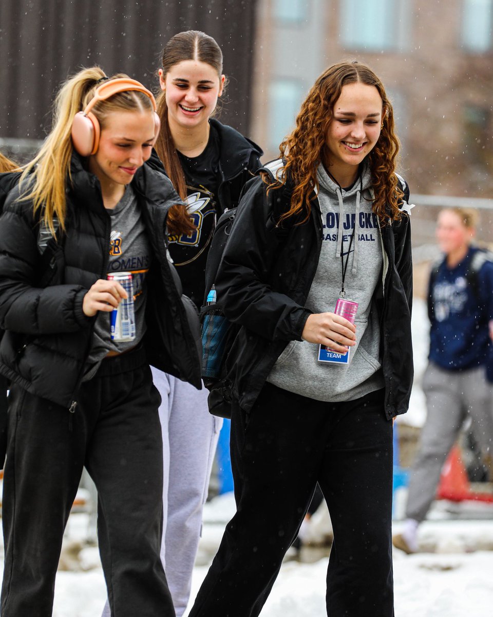 MSUB Women's Basketball tweet media
