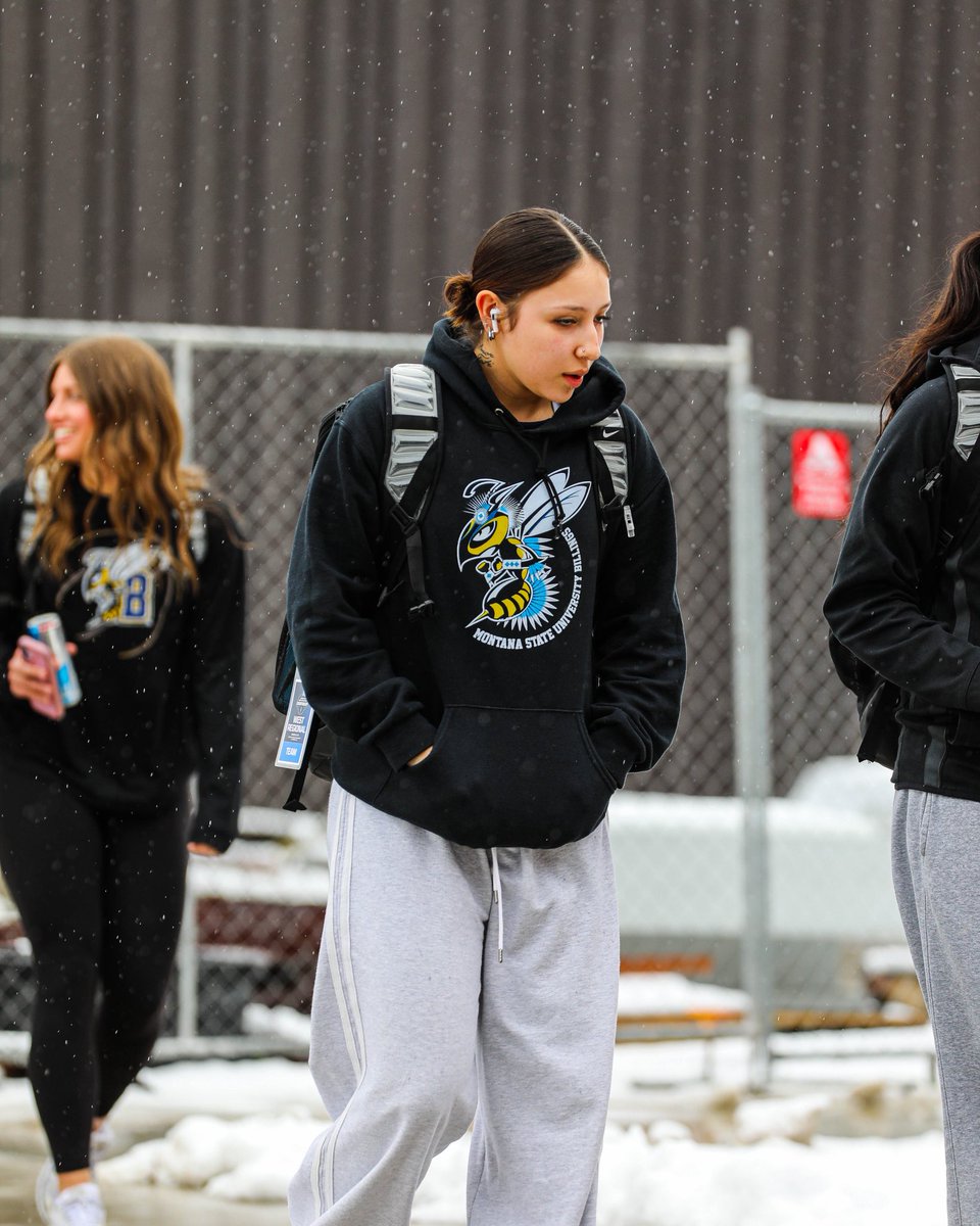 MSUB Women's Basketball tweet media