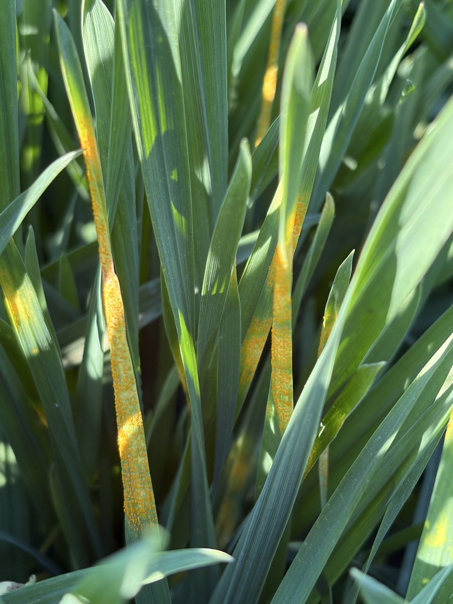 Tom Allen tweet media