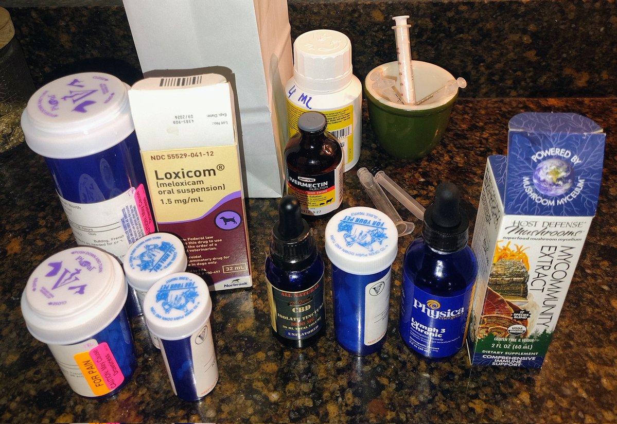 Whale Psychiatrist ™️ tweet media