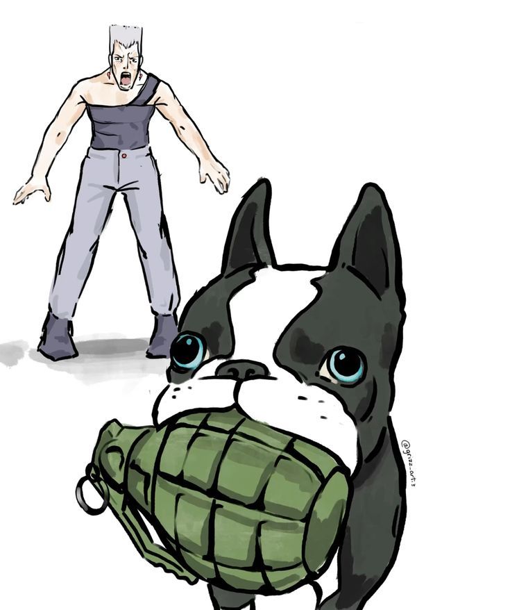 cuenta que te avisa cuando se anuncie jojolion (@jojolion_2011_) on Twitter photo 