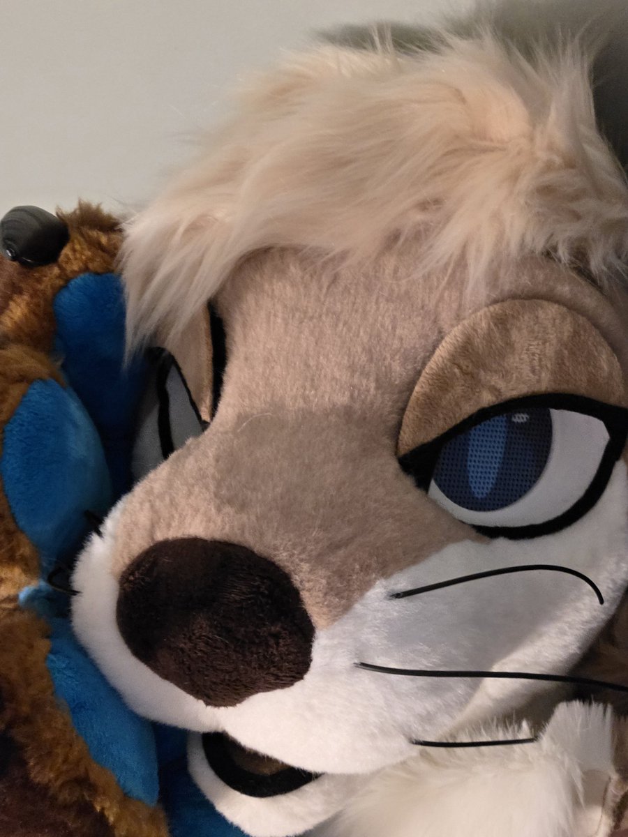 Tesser 🔜 FWA, AC tweet media