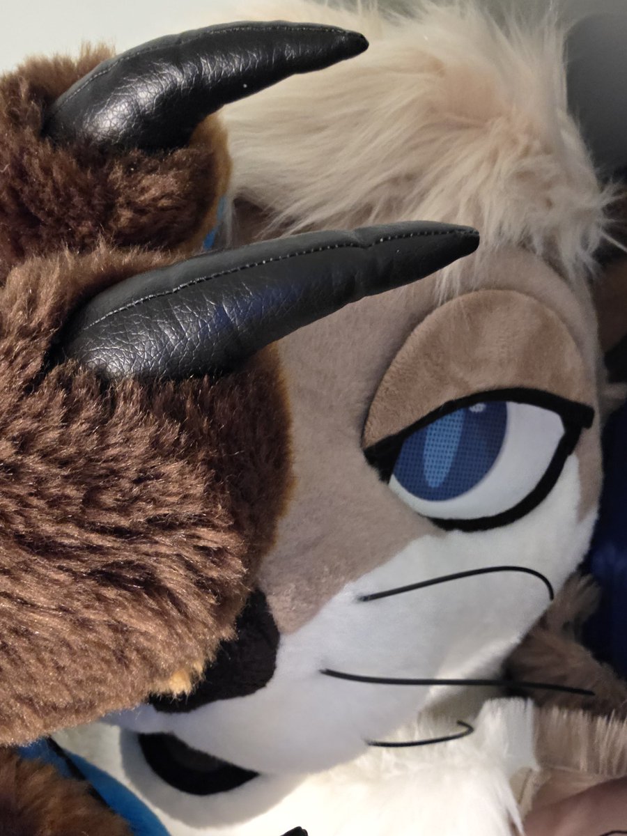 Tesser 🔜 FWA, AC tweet media