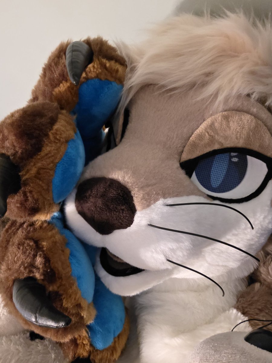 Tesser 🔜 FWA, AC tweet media