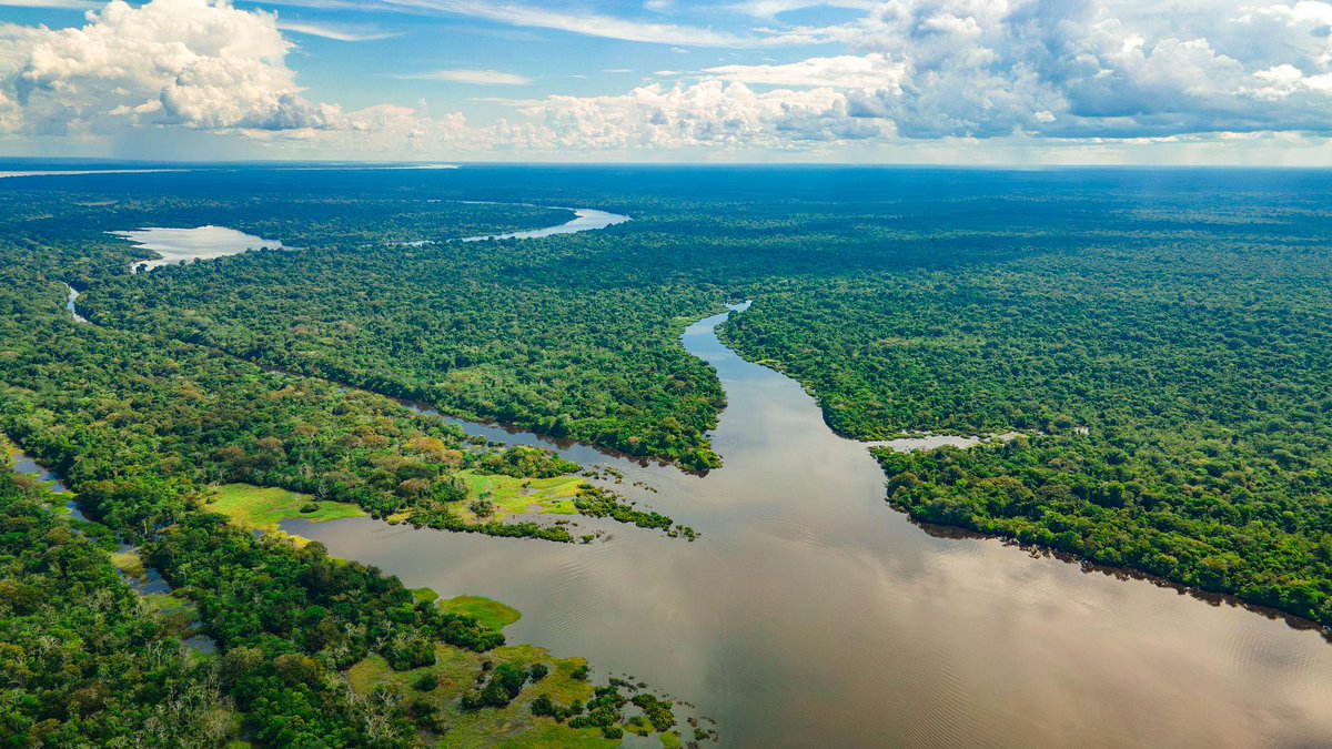 The Uncanny Atlas tweet media