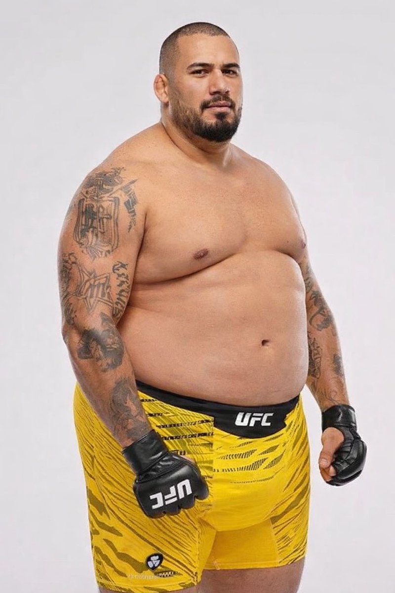 José Louis tweet media