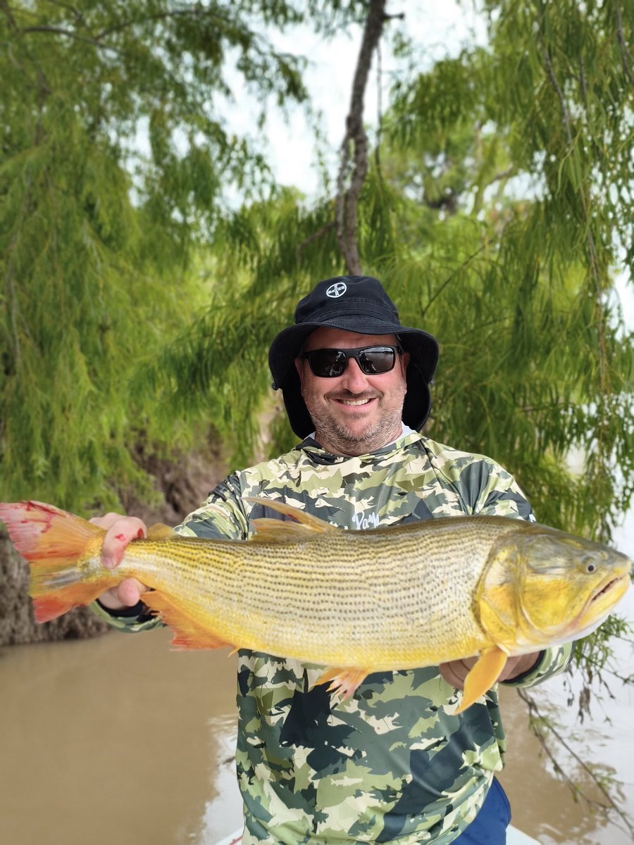 Bernardo colombatto tweet media